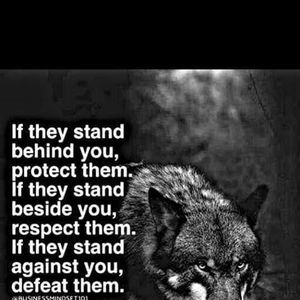 Meet your Posher, Alfred